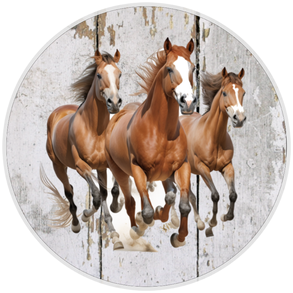 10” Wild Horses Western Sign, Home Decor, Aluminum, The Ritzy Cactus