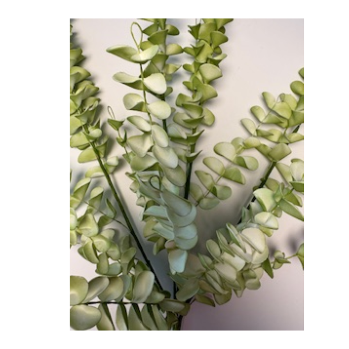 23" Eva Eucalyptus Bush,| Stem Holiday Embellishment | DIY Wreath Supply