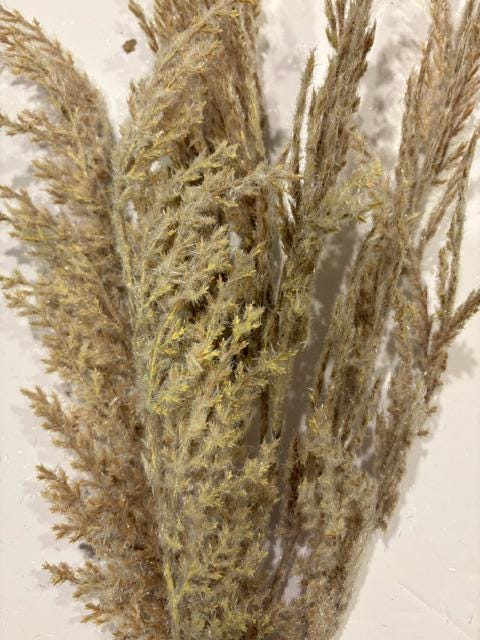 33" Beige Reed Grass Spray| l Wreath Spray | Wreath Embellishment | DIY Wreath Supply
