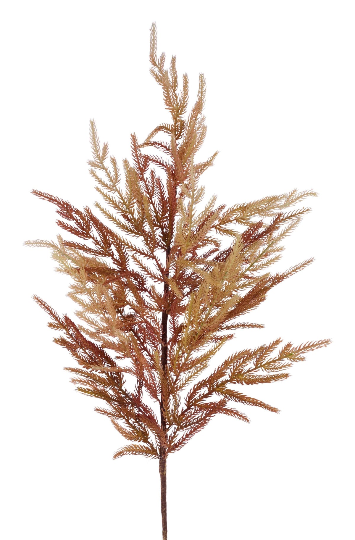 37 " Multi Brown Norfolk Spray Stem, Wreath Embellishment, Wreath Supplies, Home Decor, Greenery, DIY Craft Supply